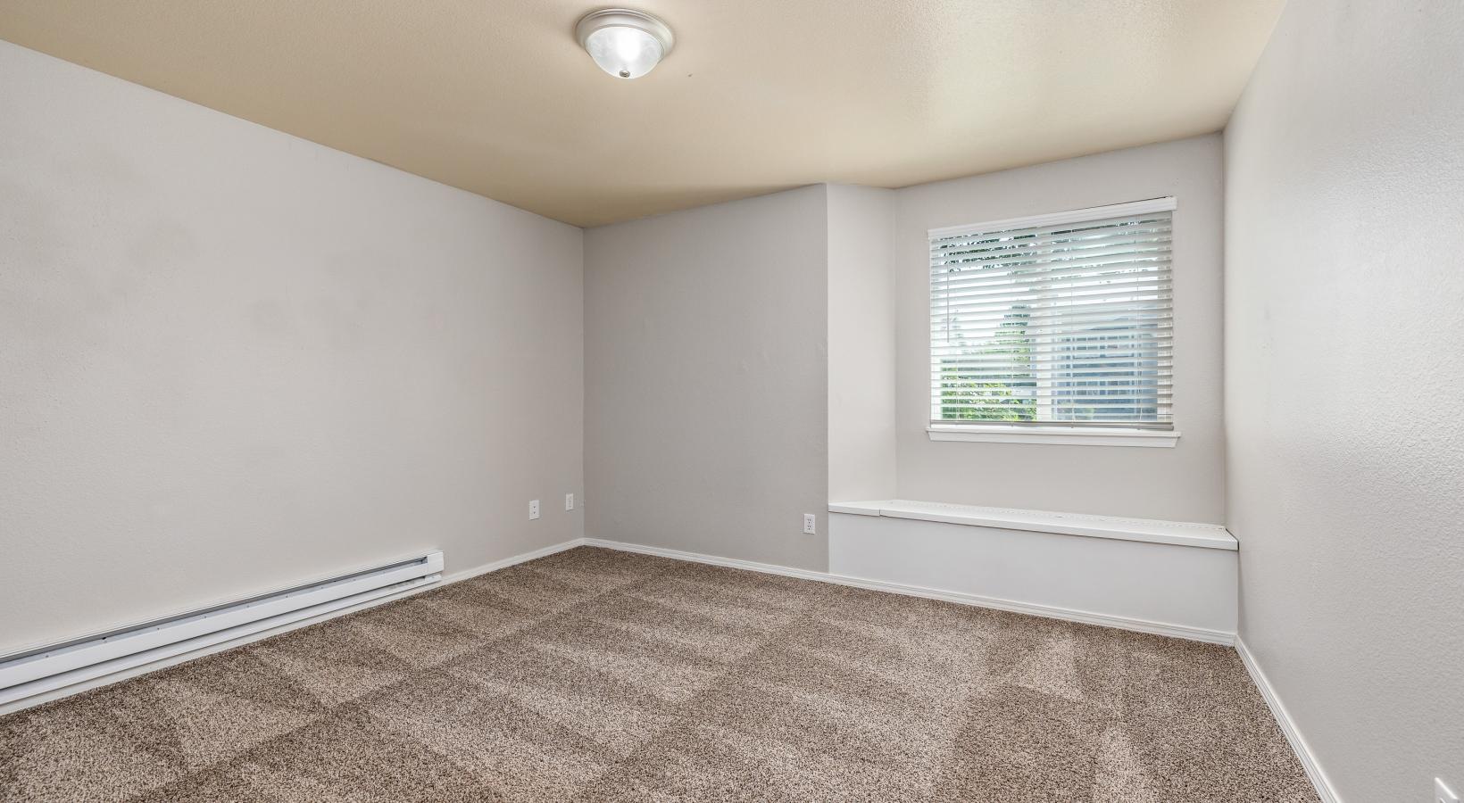 a room with a carpet and a window